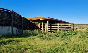 Imagem 3: Fazenda 1400 ha 96 km Campo Grande MS, beira da BR