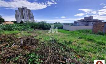 Imagem 4: Terreno (terreno normal