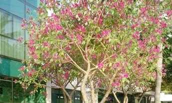 Imagem 3: O Terrazza Apipucos inova em conforto com 4 quartos/ 2 suítes