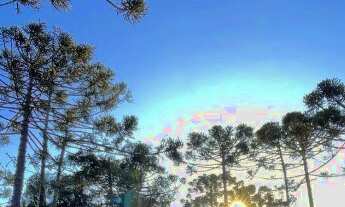 Imagem 7: Venda de sítio com Chalé no topo da montanha em Urubici - SC