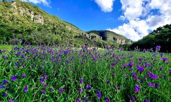 Imagem 2: TERRENO COM VISTA PARA UM PAREDÃO DE PEDRAS HISTÓRICAS!!!