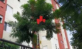 Imagem 6: Apartamento 2 dormitórios na Vila Matilde