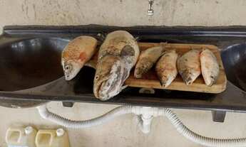 Imagem 3: Rancho de pesca no rio são Francisco