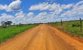 Imagem 5: Bonito de Minas - Fazenda 3000hectares - R$180.000.000,00