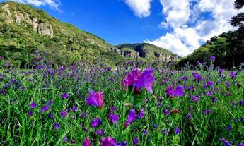 Imagem 4: TERRENO COM VISTA PARA UM PAREDÃO DE PEDRAS HISTÓRICAS!!!
