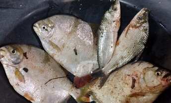 Imagem 5: Rancho de pesca no rio são Francisco