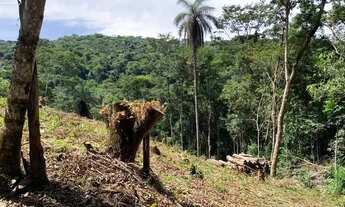 Imagem: Jardim de Petropolis