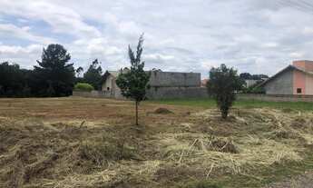Imagem 2: Terreno para Venda em São Bento do Sul, Progresso