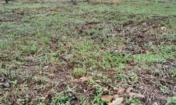 Imagem 3: Chácara Chácara com venda por R$60.000