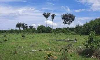 Imagem 4: FAZENDA À VENDA EM GOIANORTE TO 1.210 HECTARES (DUPLA APTIDÃO