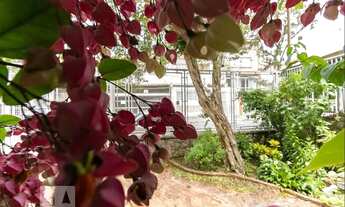 Imagem 6: Casa para Aluguel - Cambuci, 3 Quartos, 204 m2