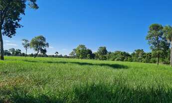 Imagem 2: Fazenda 1400 ha 96 km Campo Grande MS, beira da BR