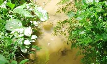 Imagem 7: Chácara com piscina oportunidade 250 mil reais