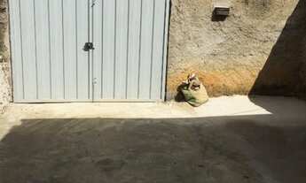 Imagem 7: Casa Gloria Casa com 2 dormitórios