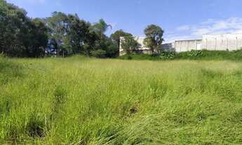 Imagem 4: Lote próximo o trevo , Quitandinha