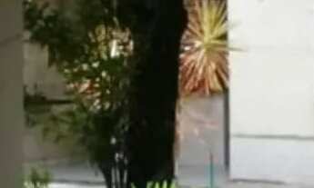 Imagem 6: Casa Salinas 1q da Rogaciano Leite liga 9 8 7 4 8 3 1 0 8 Diego9989f oportunidade