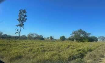 Imagem 4: Fazenda com 656 alq formado + 190 alq. APP em são Miguel do Araguaia Go. 120milhões