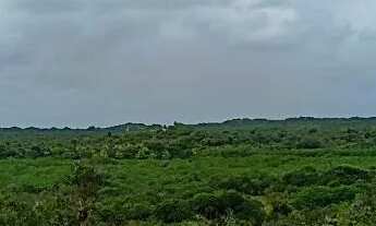 Imagem 4: Fazenda em Jandaíra, Litoral Norte da Bahia