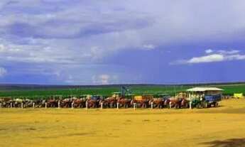 Imagem 3: Buritizeiro/MG- Fazenda de Café de 2.050,00 ha - R$350.000.000,00