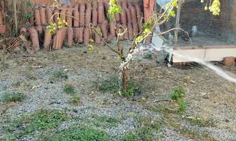 Imagem 6: Casa no Village das palmeiras