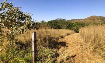 Imagem 4: Chácara 5.000 m² com córrego - PATO SELVAGEM