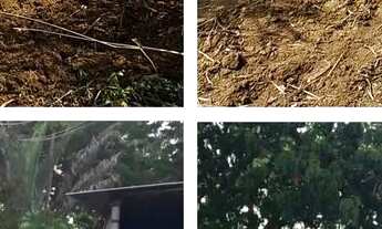 Imagem: Terrenos planos prontos para construir