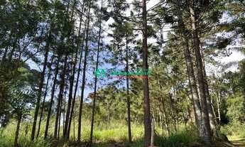 Imagem 7: R$ 7.072.000 - Portal do Santa Paula - Cotia/SP