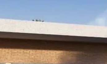 Imagem 3: Vendo ou troco por carro