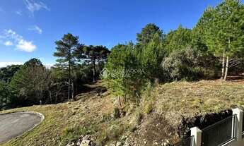 Imagem 4: Terreno amplo, em Gramado no Morada da Serra, com vista para o vale