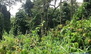 Imagem 5: TERRENO EM CONDOMÍNIO - ARUJAZINHO 1, 2, 3 - SP