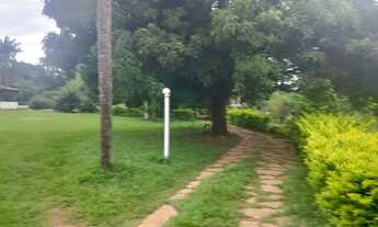 Imagem 4: Chácara para venda tem 10000 metros quadrados com 4 quartos em Ponte Alta Norte - Brasília