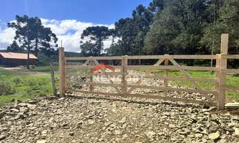Imagem 3: Chácara em Estrada Geral Contendas - Contendas - São Francisco de Paula/RS