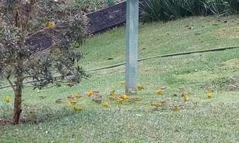 Imagem 6: Chácara Recanto Natureza