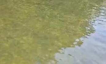 Imagem 4: Chácara à venda Zona Rural - Mairipotaba/GO