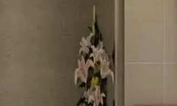 Imagem 7: GARDEN - UNIÃO - MG