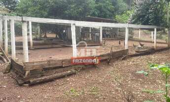 Imagem 6: Chacara 1,4 alqueires (6,8 hectares) São Miguel do Passa Quatro - Go