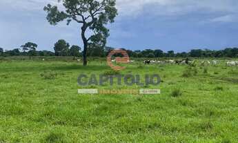 Imagem 4: Fazenda à venda em Jussara- GO