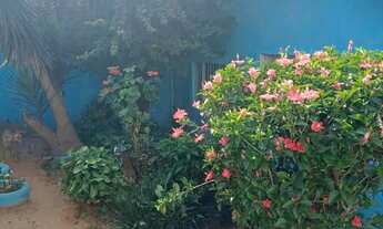 Imagem 4: Terreno 500 m² a venda Vila carmosina