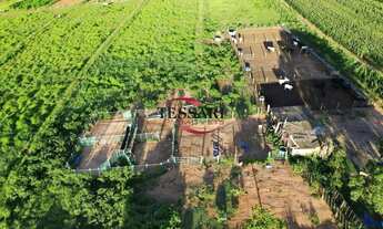 Imagem 2: Vende-se Sitio com 11 alqueires com represa próximo a cidade de José Bonifácio