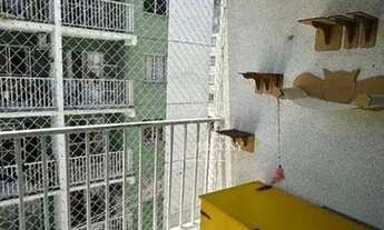 Imagem: Apartamento Residencial à venda, Nogueira