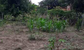 Imagem: Oportunidade única Lote plano com escritura