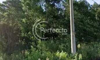 Imagem 2: Venda - Terrenos - Caxias do Sul - RS