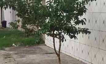 Imagem 3: Casa para venda possui 150 metros quadrados com 2 quartos em Centro - Marechal Deodoro - A