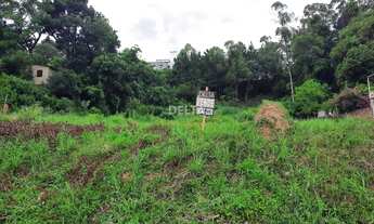 Imagem: Em busca de um terreno para investir ou