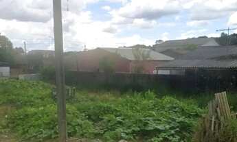 Imagem 2: Terreno para Venda em São José dos Pinhais, Borda do Campo