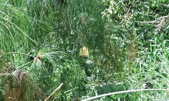 Imagem 5: SITIO BAIRRO ENCONTRO DAS ÁGUAS EM ESMERALDAS/MG R$480.000,00