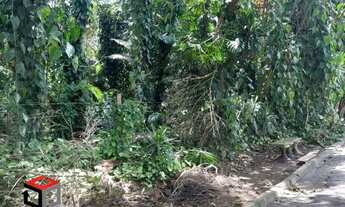 Imagem: Terreno à venda Alvarenga - São Bernardo