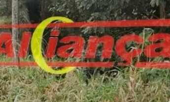 Imagem 7: MAIRIPORA TERRENO MIL METROS QUADRADOS