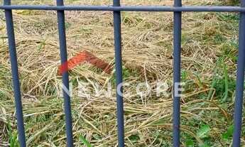 Imagem 3: Lote em Rua Q - Balneário Gardem Mar - Caraguatatuba/SP