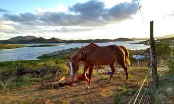 Imagem 2: Granja em ilha no açude de Boqueirão